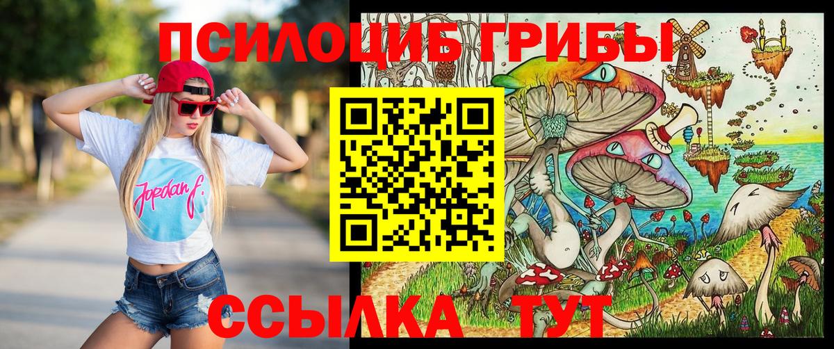 Галлюциногенные грибы мицелий  Псилоцибиновые грибы Magic Shrooms  Вход с VPN  Кохма 