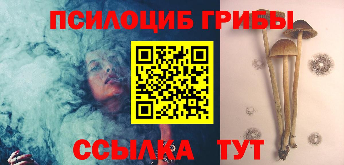 Галлюциногенные грибы Psilocybe Кохма